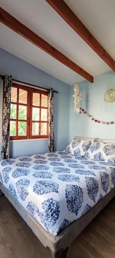 Casa Jardin De Hadas Con Vista Panoramica Pisco Elqui Exterior foto